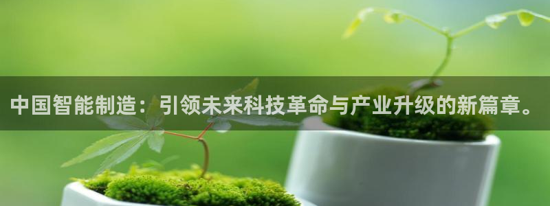 彩神8app官方下载：中国智能制造：引领未来科技革命与产业升级的新篇章。