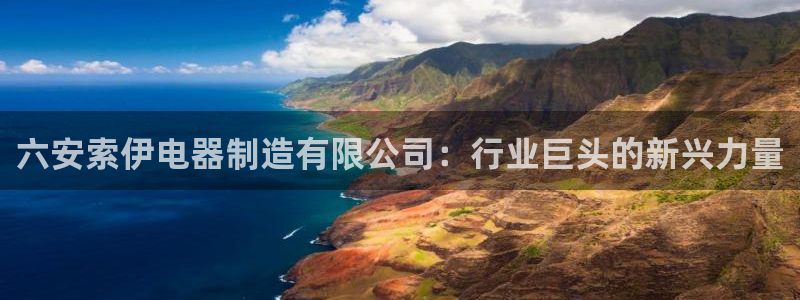 彩神v8有多久了?靠谱吗：六安索伊电器制造有限公司：行业巨头的新兴力量