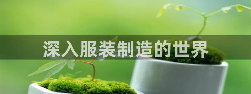 彩神网官网登录