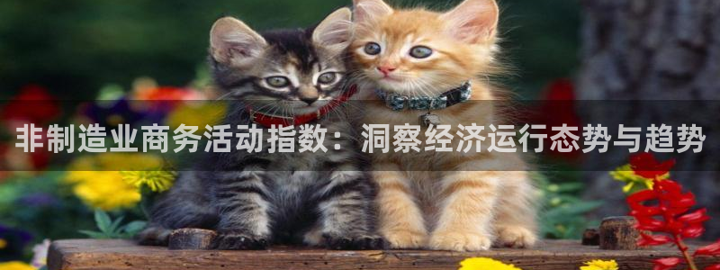 彩神ios下载：非制造业商务活动指数：洞察经济运行态势与趋势