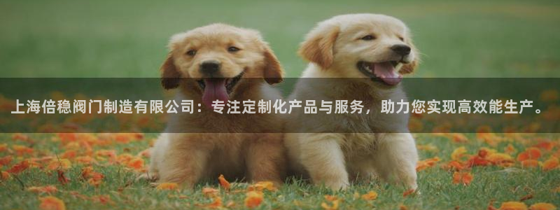 彩神赢钱了吗是真的吗